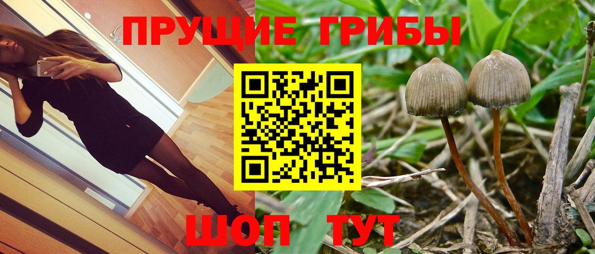 Галлюциногенные грибы прущие грибы  Вход с VPN  Псилоцибиновые грибы Cubensis  Дедовск 